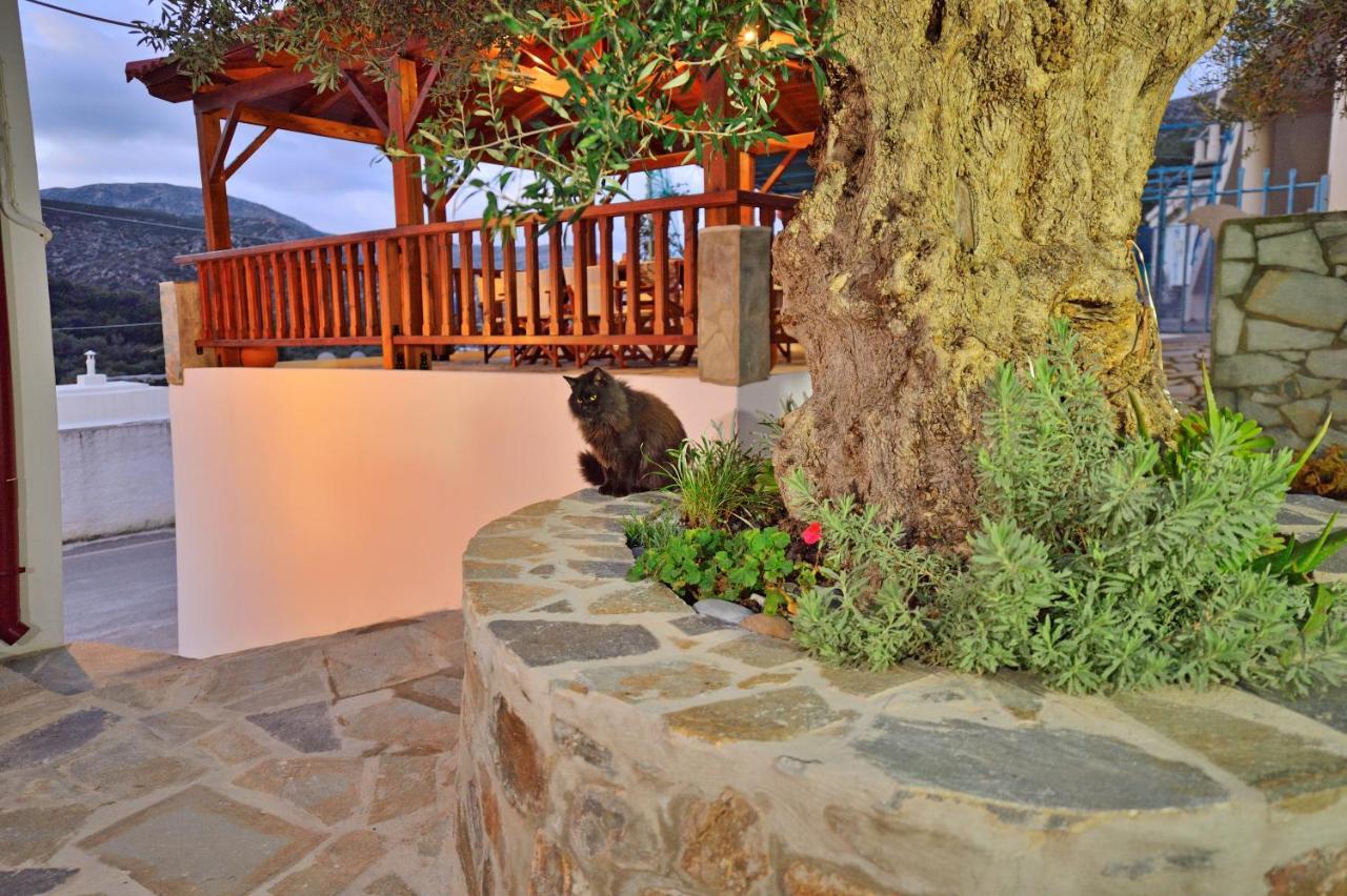 فيلا Plokamos House Plokamianá المظهر الخارجي الصورة