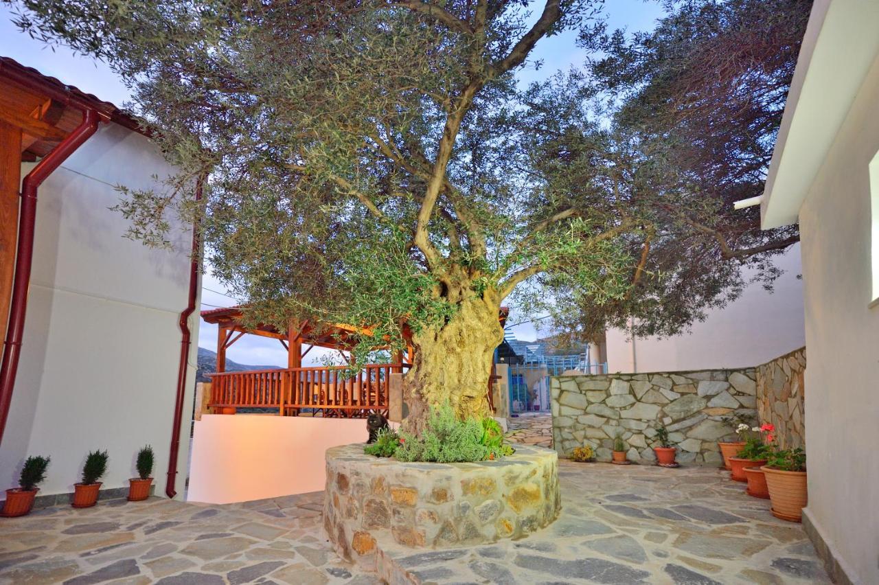 فيلا Plokamos House Plokamianá المظهر الخارجي الصورة